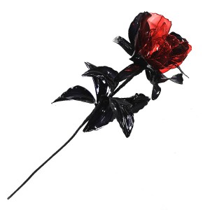 Rose rouge et noire