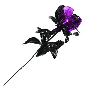 Rose violette et noire